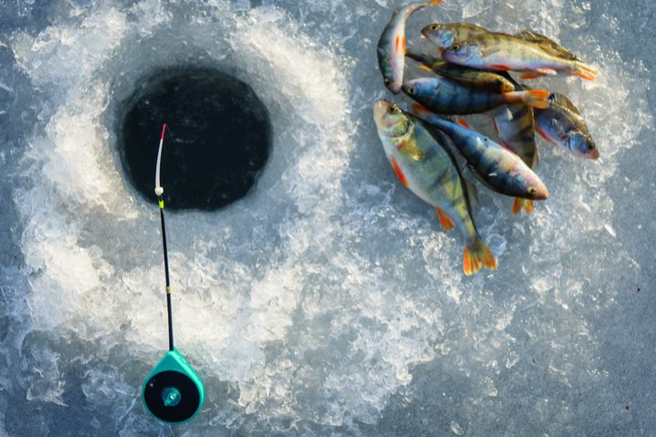 Ice fishing game erfahrungen - Erfahrungen mit Eissport-Glücksspielen - Die besten Online-Spieloptionen für